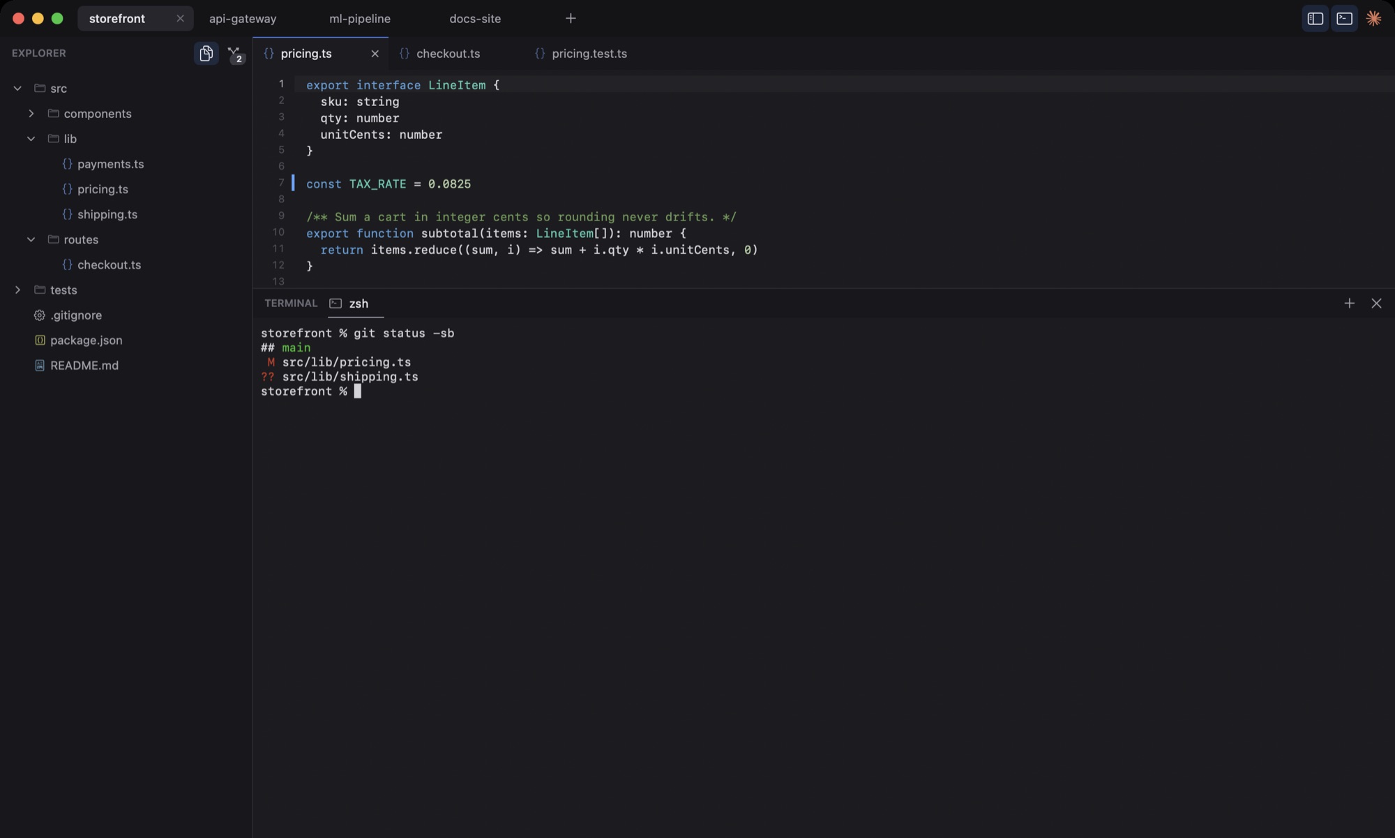Native IDE with the integrated terminal open under the editor